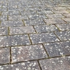 Bilder_121